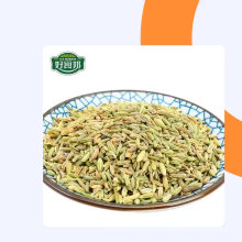 Las semillas de hinojo de fenogreco chino exportan al por mayor con la mejor calidad